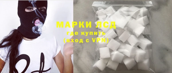 PSILOCYBIN Майский